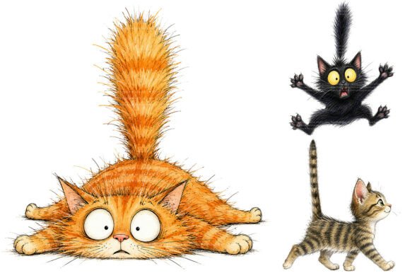 Download Whimsical Funny Cat PNG Bundle - Bundle Collection